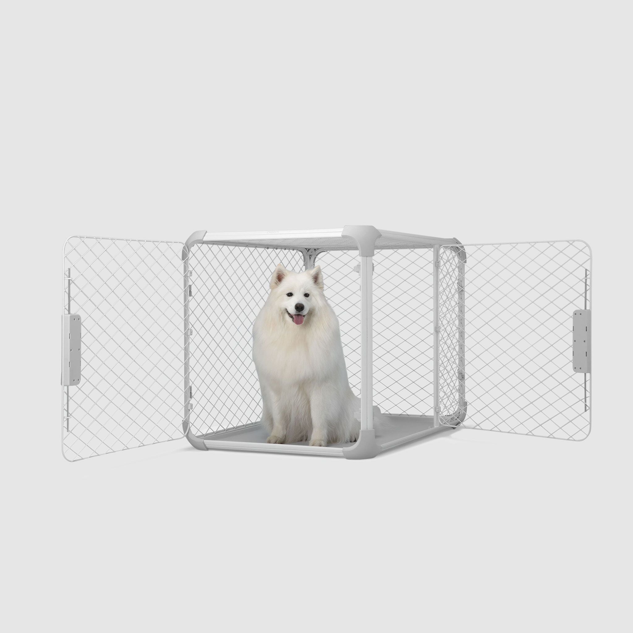A white dog sitting inside of a dog crate