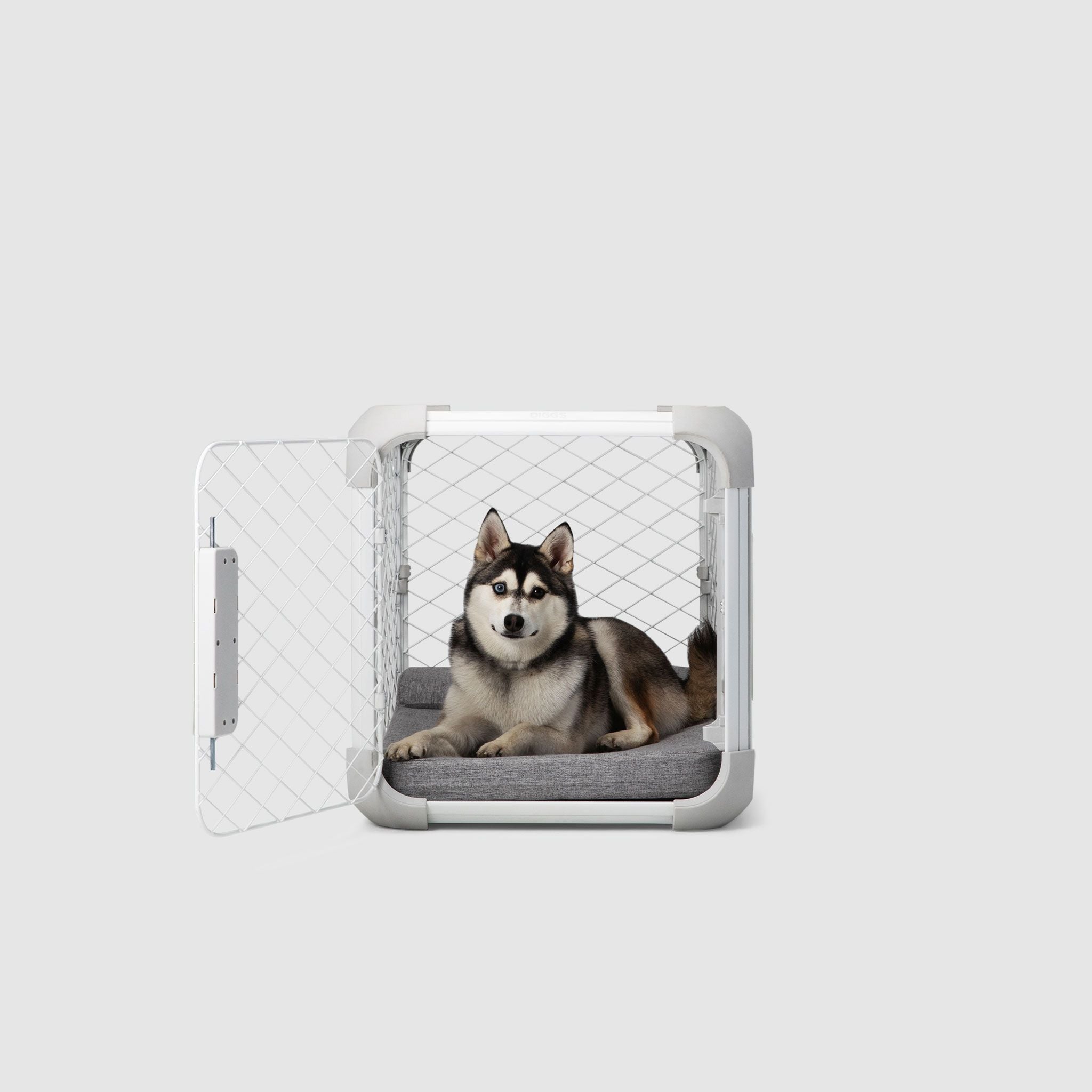 A husky dog sitting in a dog crate