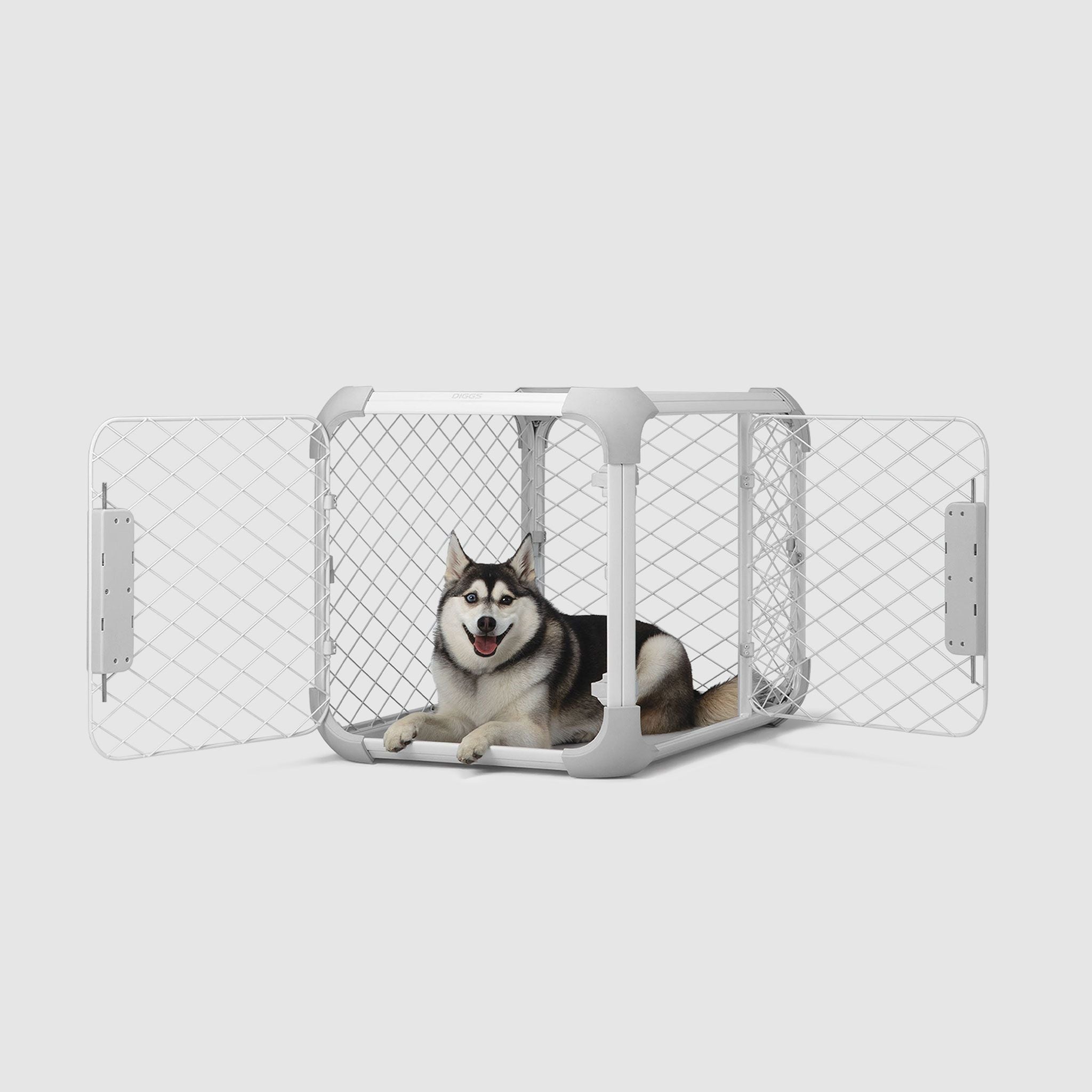 A husky dog sitting in a dog crate