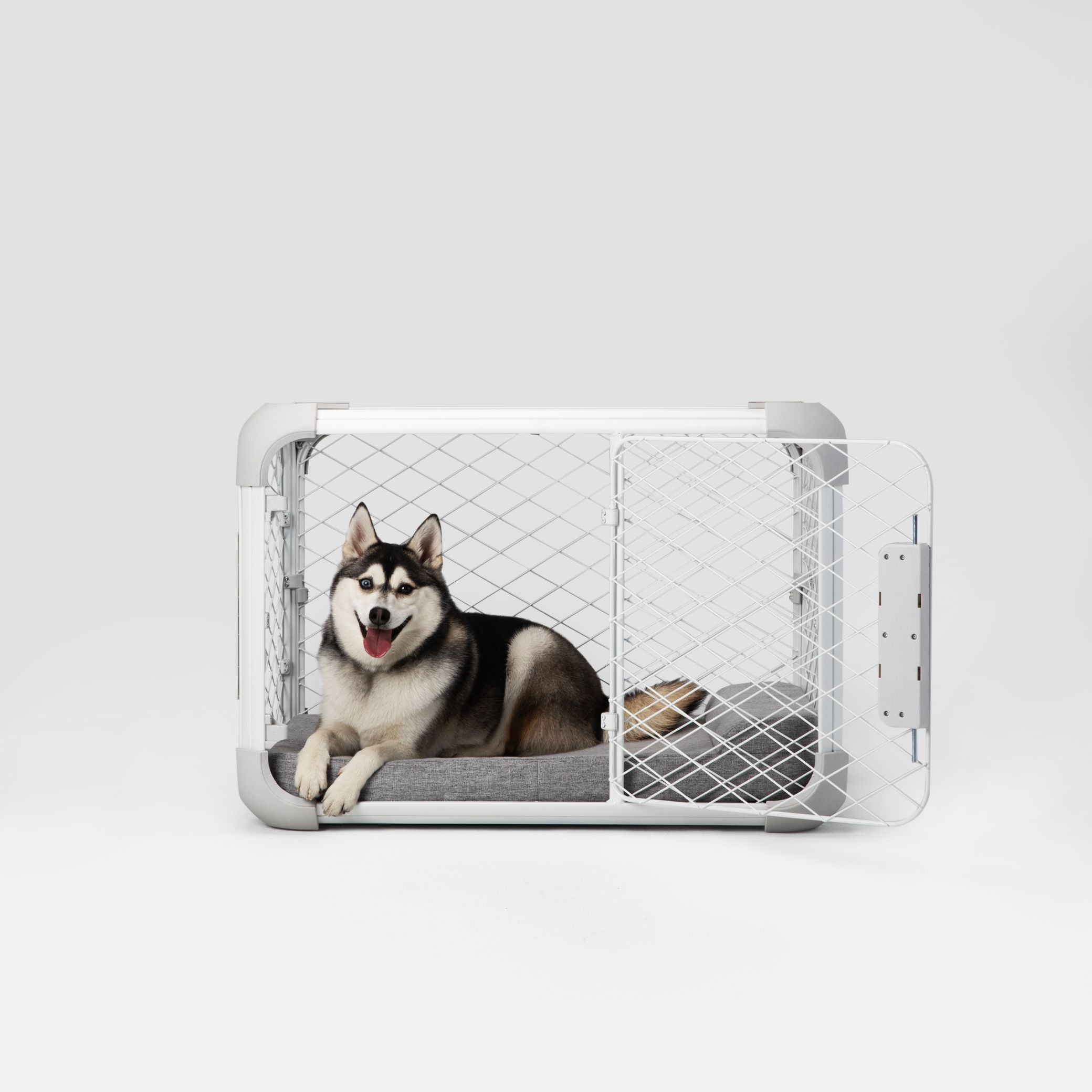 a husky dog in an Evolv crate with the side door open