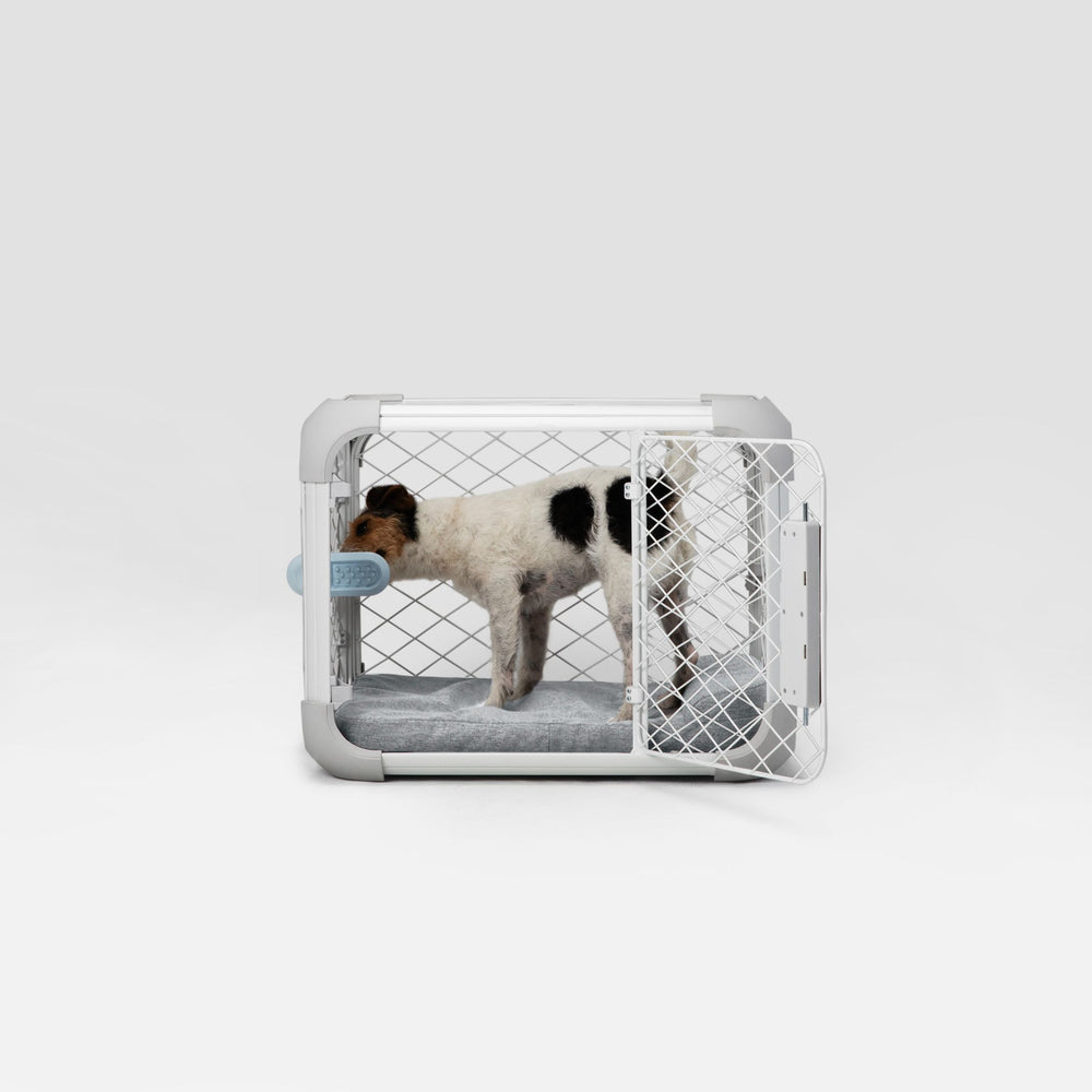 Bolstr Evolv Bed