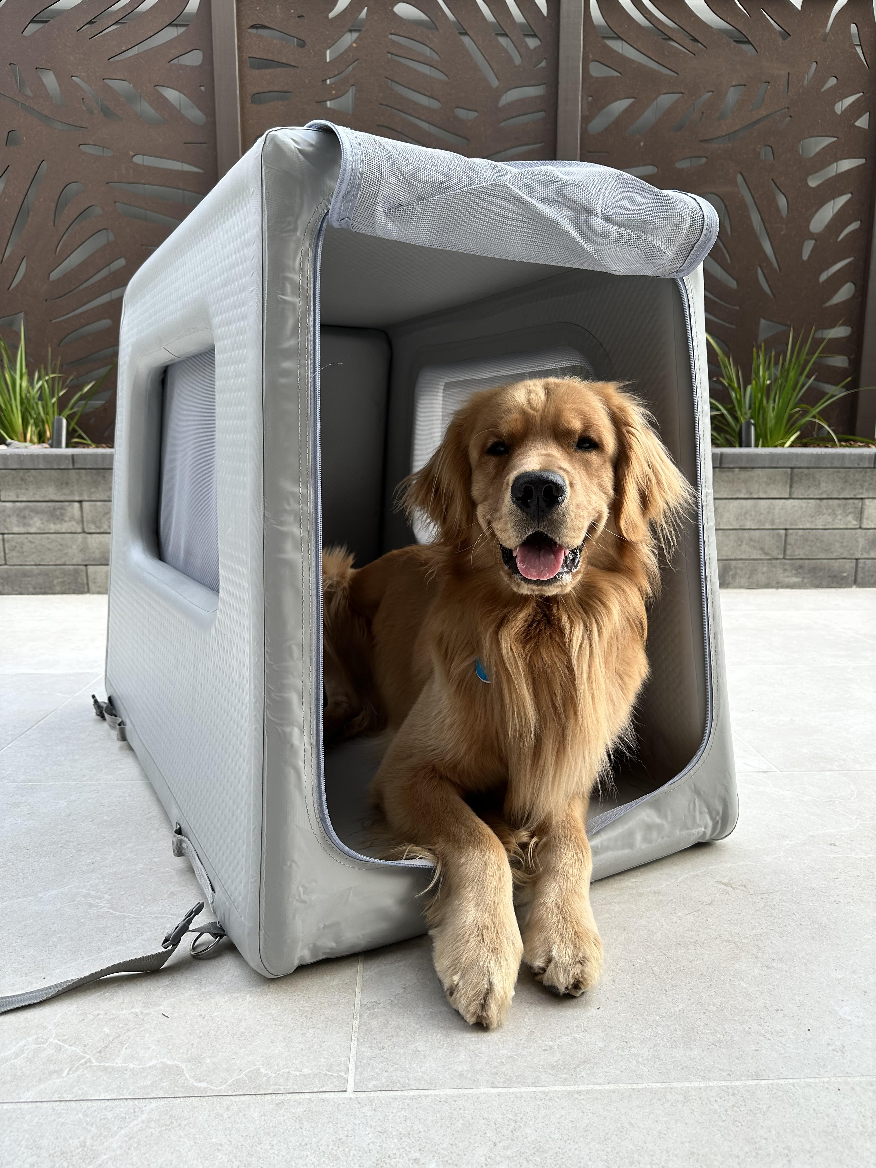 Golden retriever in Enventur kennel in a courtyard