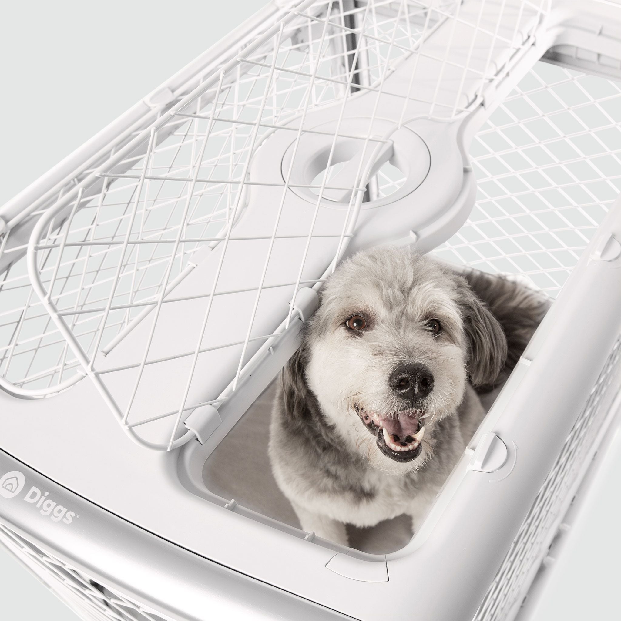A dog is sitting inside of a dog crate with open ceiling hatch