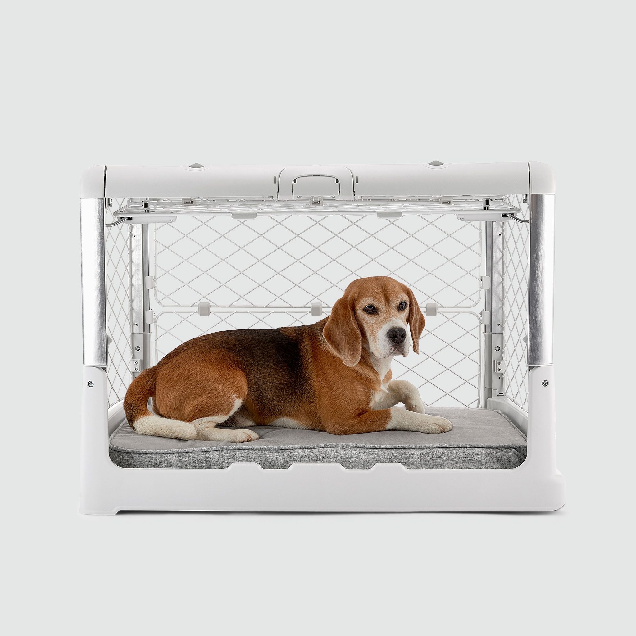 A Beagle laying in an Ash Revol dog crate pictured from the side with the side door open