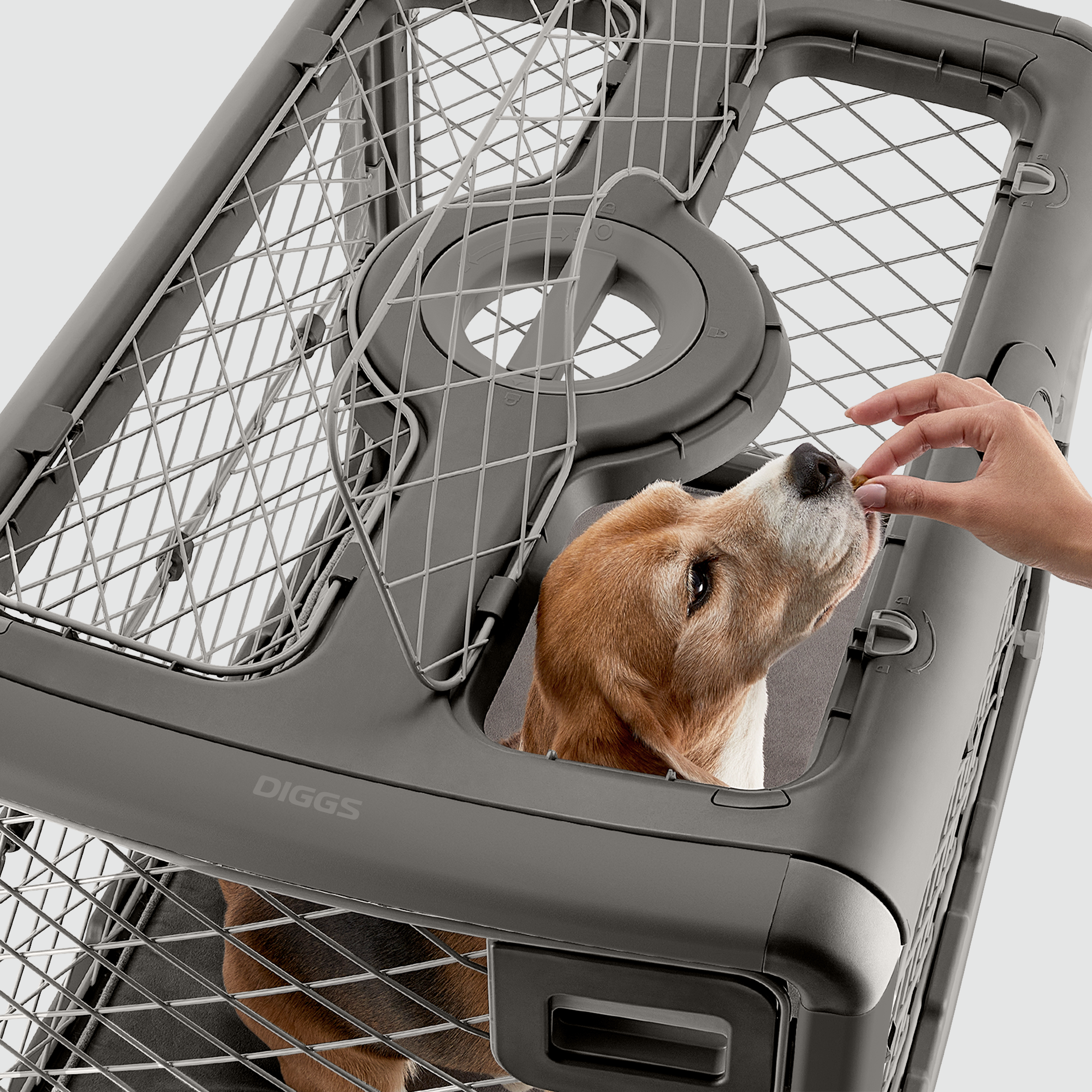 A person feeding a treat to a dog in a Revol through the open ceiling hatch