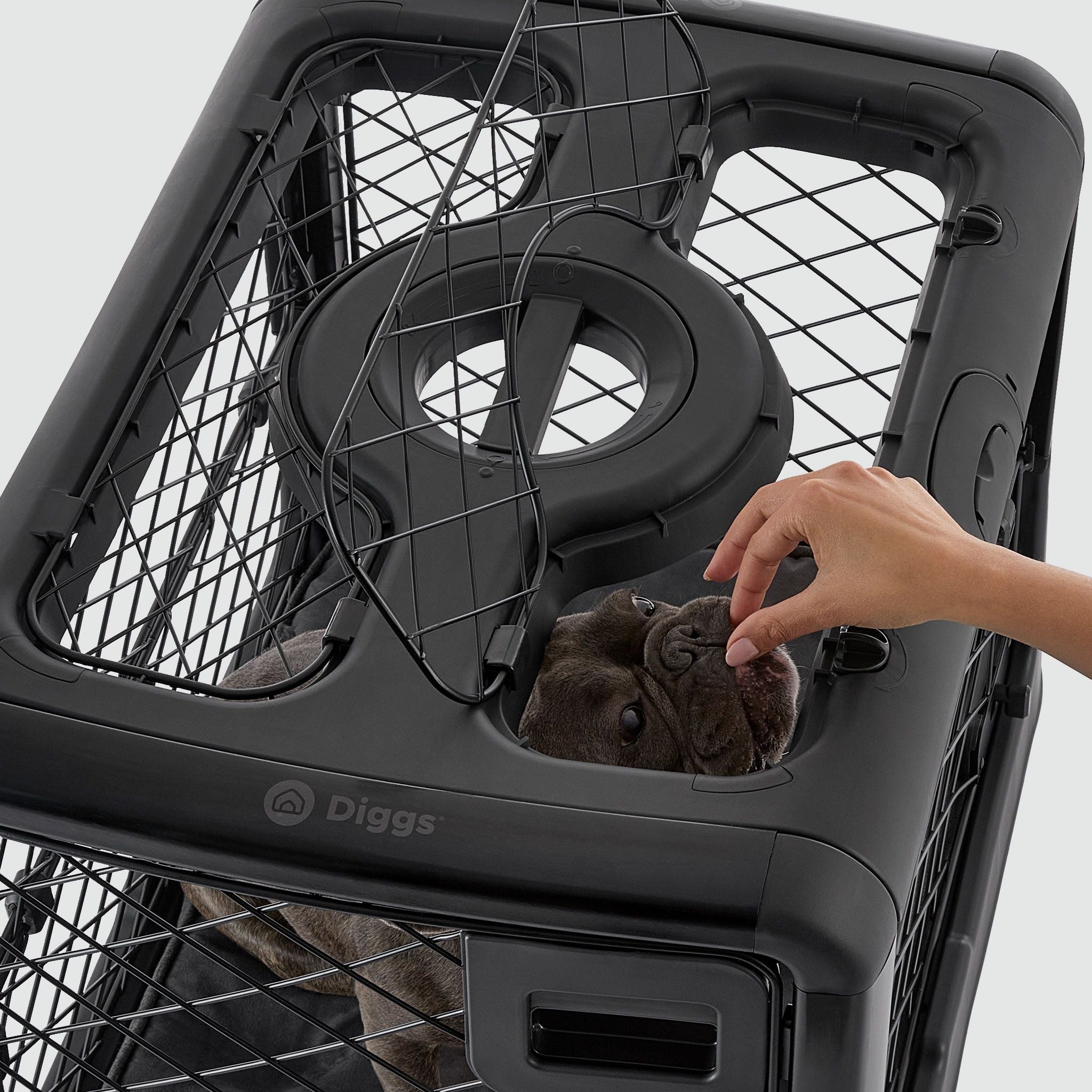 A person feeding a dog something through the Revol ceiling hatch