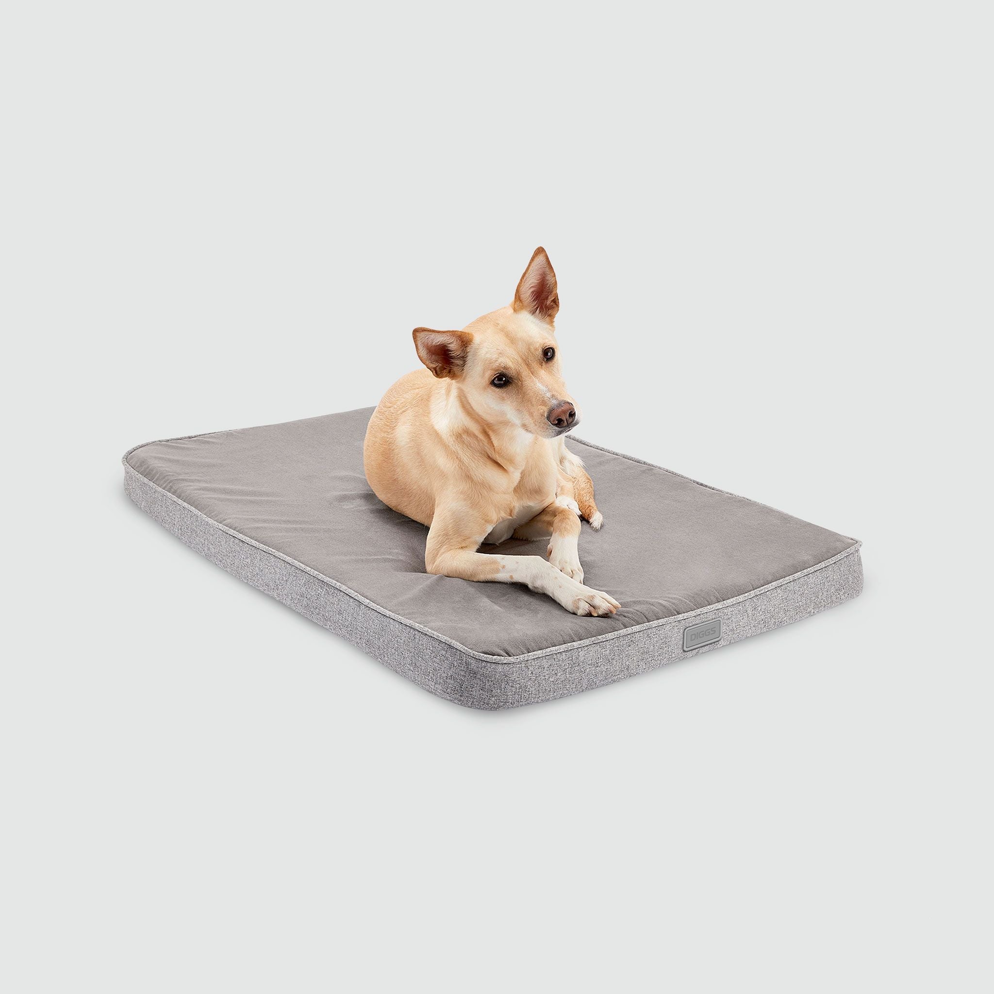 A dog laying on a Snooz pad pictured from the front on a white background.