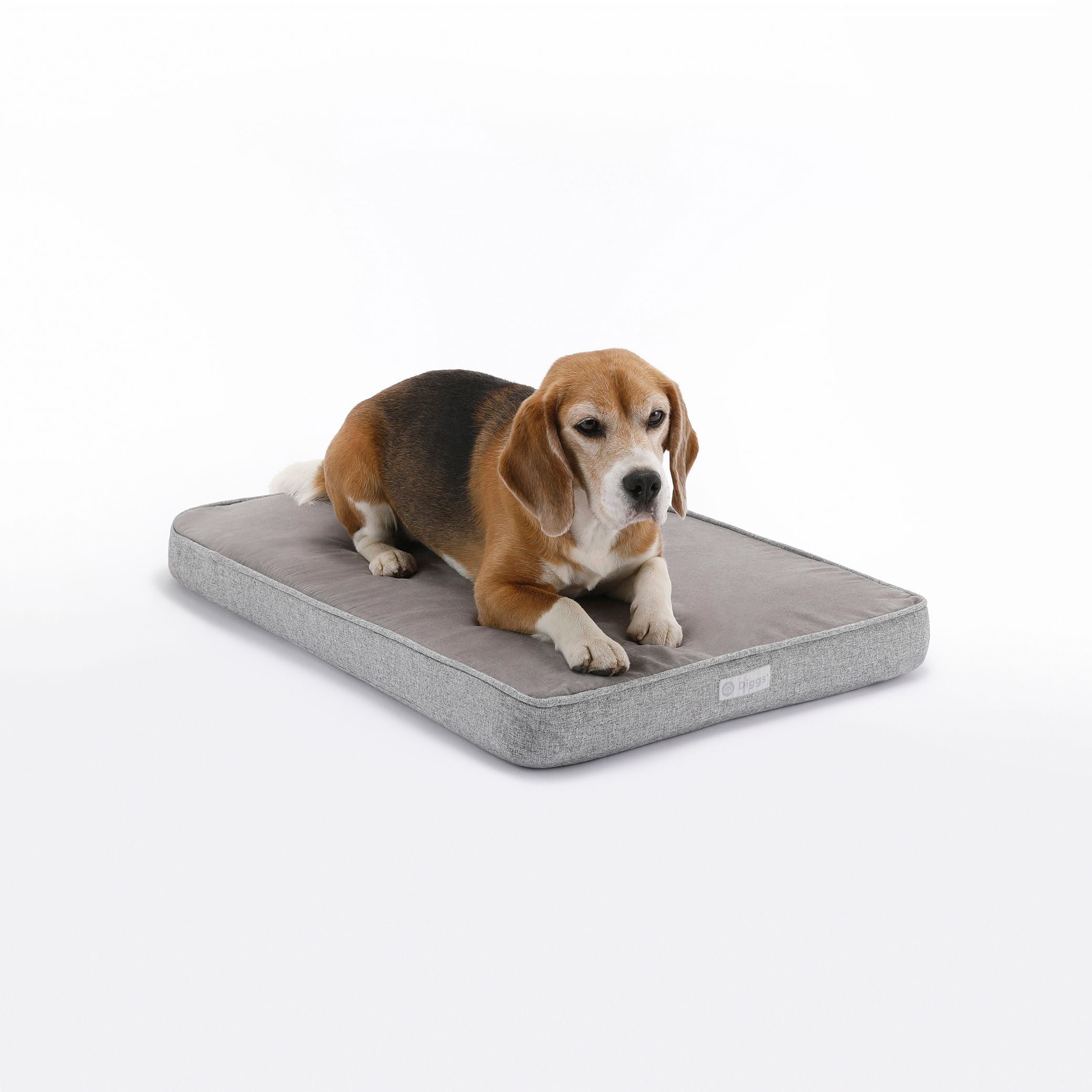 a dog laying on top of a Grey Snooz pad pictured from the front