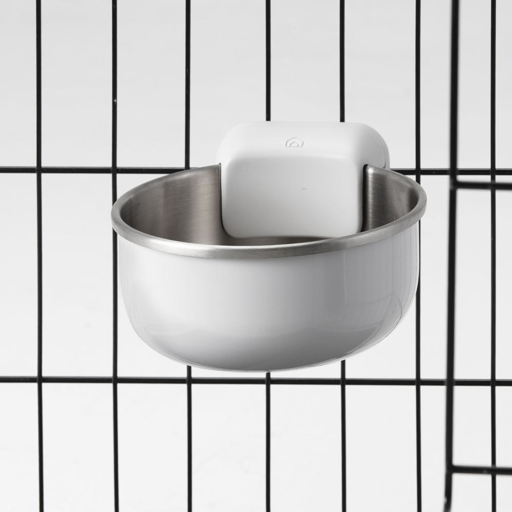 Crate Bowl