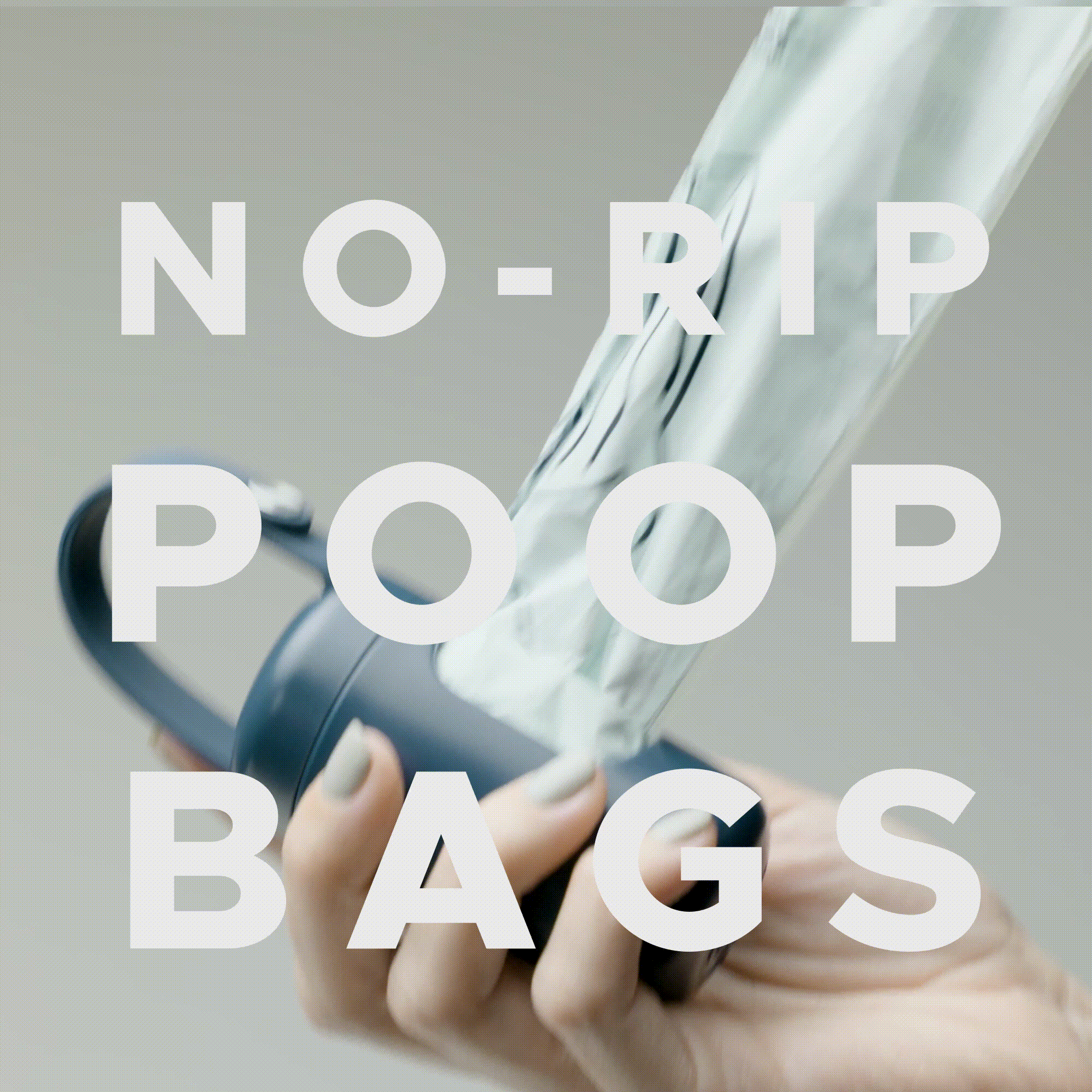 GIF showing tear-free poop bags pulled from dispenser tissue-style